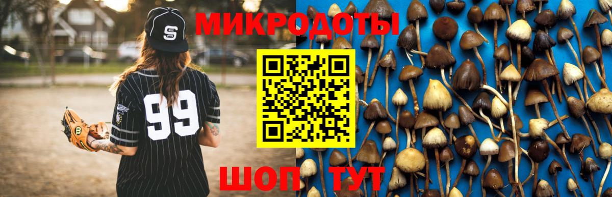 Галлюциногенные грибы GOLDEN TEACHER Каменка